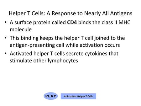 Helper T Cells: A Response to Nearly All Antigens