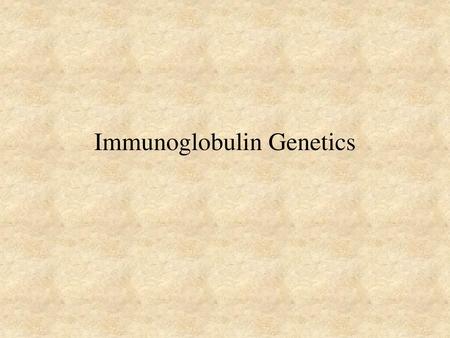 Immunoglobulin Genetics