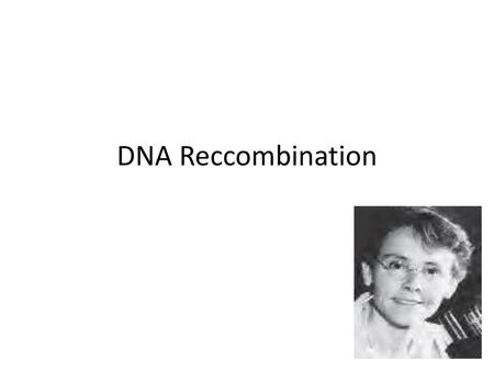 DNA Reccombination.