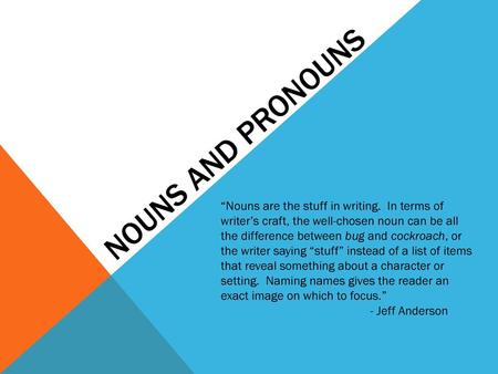 Nouns and pronouns “Nouns are the stuff in writing. In terms of writer’s craft, the well-chosen noun can be all the difference between bug and cockroach,