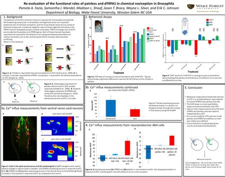 Re-evaluation of the functional roles of painless and dTRPA1 in chemical nociception in Drosophila Pamela A. Fazio, Samantha J. Mandel, Madison L. Shoaf,