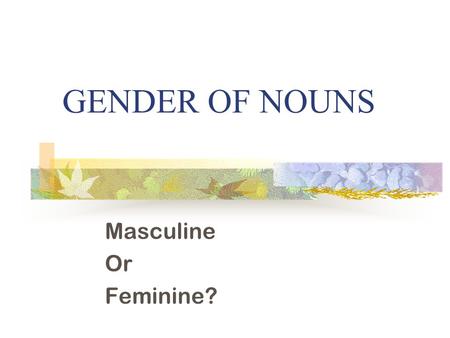 GENDER OF NOUNS Masculine Or Feminine?.