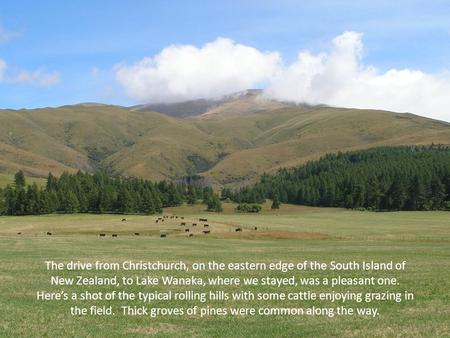 The drive from Christchurch, on the eastern edge of the South Island of New Zealand, to Lake Wanaka, where we stayed, was a pleasant one. Heres a shot.