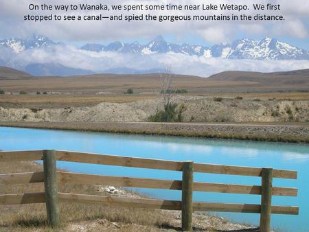 On the way to Wanaka, we spent some time near Lake Wetapo. We first stopped to see a canaland spied the gorgeous mountains in the distance.