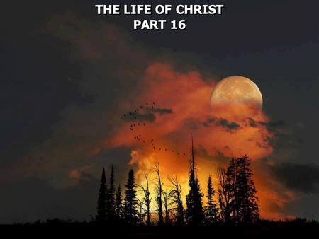 THE LIFE OF CHRIST PART 16 THE LIFE OF CHRIST PART 16.