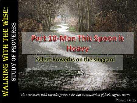 Walking With the Wise: study of Proverbs Walking With the Wise: study of Proverbs He who walks with the wise grows wise, but a companion of fools suffers.