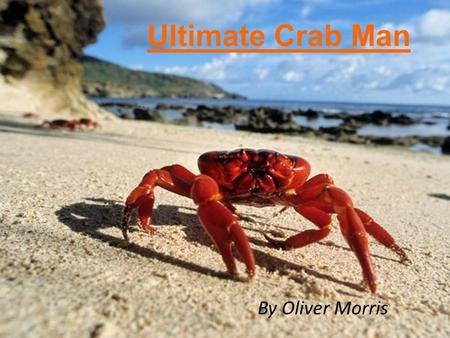 Ultimate Crab Man By Oliver Morris. Ultimate Crab Man Ultimate Crab Man lives in shallow waters near the Island of Atlantis. His nemesis is Squid Man.