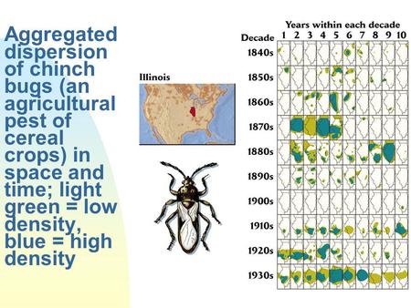 Aggregated dispersion of chinch bugs (an agricultural pest of cereal crops) in space and time; light green = low density, blue = high density.