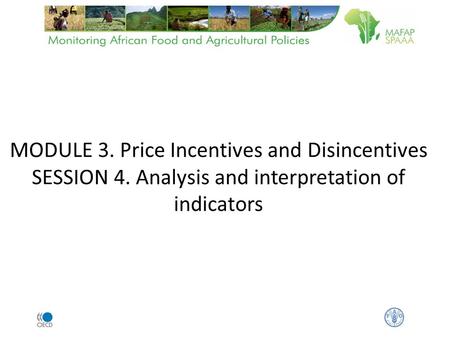 MODULE 3. Price Incentives and Disincentives SESSION 4. Analysis and interpretation of indicators.