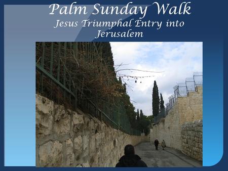 Palm Sunday Walk Jesus Triumphal Entry into Jerusalem