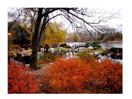 Kenilworth Garden Club Visit to the Osaka Garden Jackson Park September 15, 2010 Hosted by Friends of the Japanese Garden.