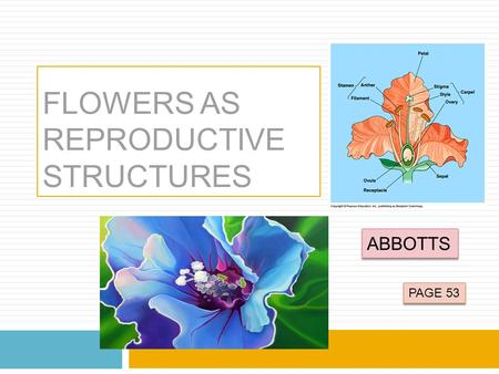 FLOWERS AS REPRODUCTIVE STRUCTURES