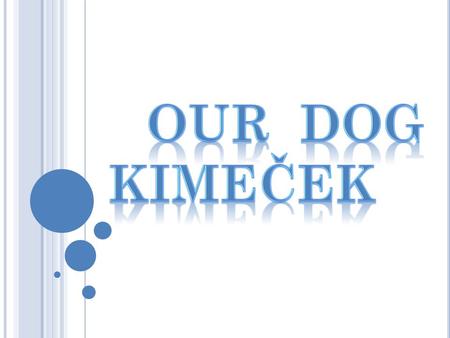 We have dog. His name is Kim. He is 4. Kim likes chase cats. When he was young,he chased cats behind him… Now he chase cats before him. He sleeps.