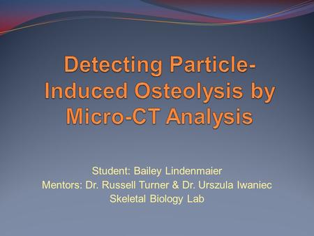 Detecting Particle-Induced Osteolysis by Micro-CT Analysis