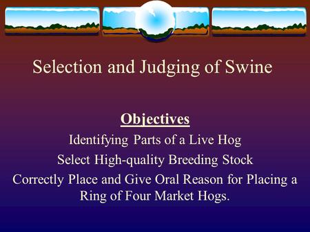 Selection and Judging of Swine