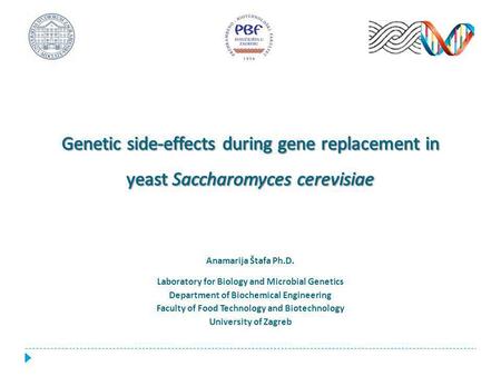 Anamarija Štafa Ph.D. Laboratory for Biology and Microbial Genetics