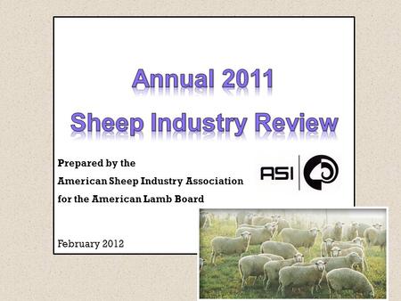 Last year was another record-breaking year for the lamb market. Significant price appreciation was seen across most lamb sectors for about 18 months.