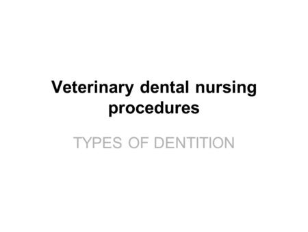 Veterinary dental nursing procedures