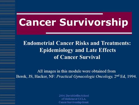 Endometrial Cancer Risks and Treatments: Epidemiology and Late Effects