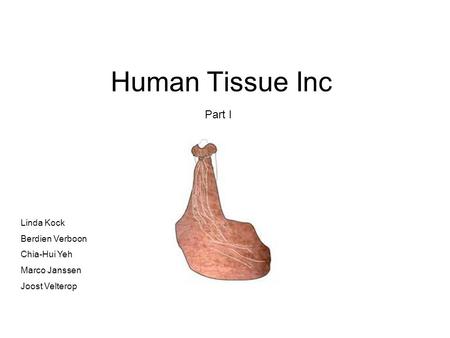 Human Tissue Inc Part I Linda Kock Berdien Verboon Chia-Hui Yeh Marco Janssen Joost Velterop.