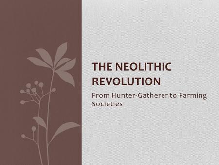 The Neolithic Revolution