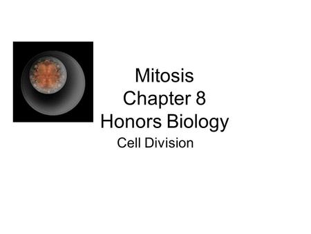 Mitosis Chapter 8 Honors Biology Cell Division. G 2 of Interphase Chromosomes are not clear (still chromatin) Nucleolus visible Nuclear envelope Centrosomes.