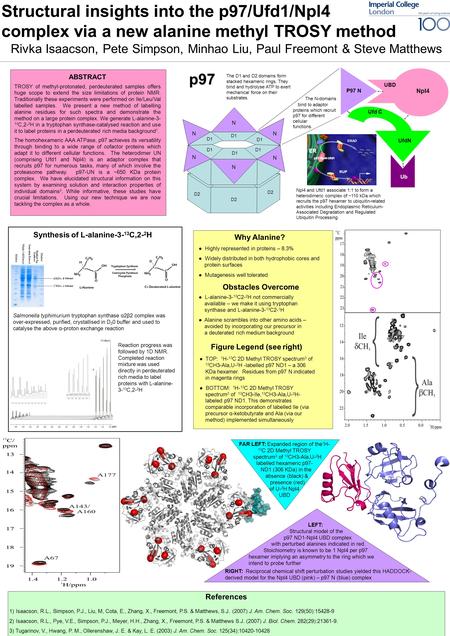 Structural insights into the p97/Ufd1/Npl4 complex via a new alanine methyl TROSY method Npl4 P97 N UBD Ufd C UfdN Ub N N N N N N D1 D2 The D1 and D2 domains.