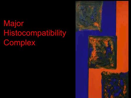 Major Histocompatibility Complex