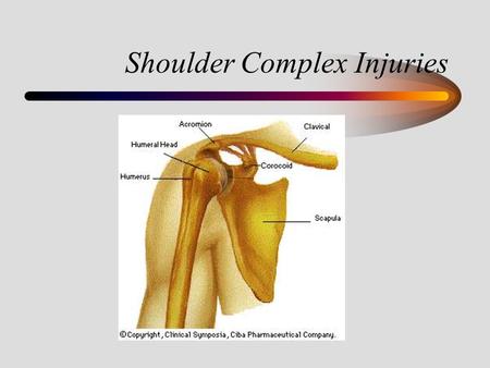 Shoulder Complex Injuries