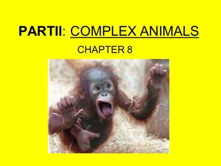 PARTII: COMPLEX ANIMALS