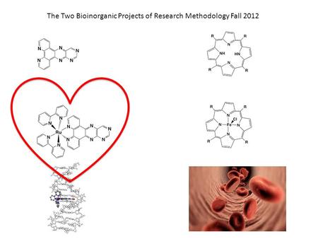 The Two Bioinorganic Projects of Research Methodology Fall 2012.