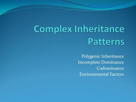 Complex Inheritance Patterns