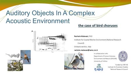 Auditory Objects In A Complex Acoustic Environment Rachele Malavasi, PhD Institute for Coastal Marine Environment (National Research Council) Oristano.