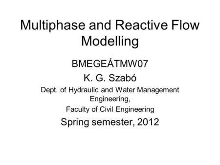 Multiphase and Reactive Flow Modelling