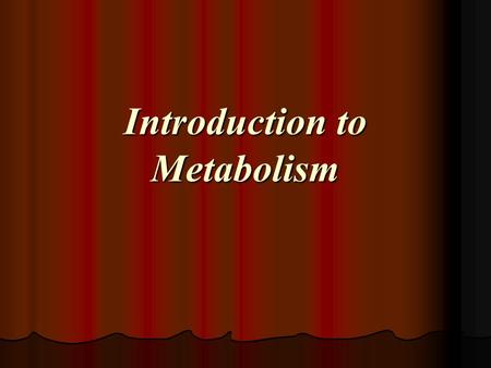 Introduction to Metabolism