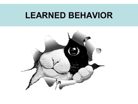 LEARNED BEHAVIOR.