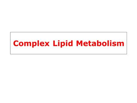 Complex Lipid Metabolism