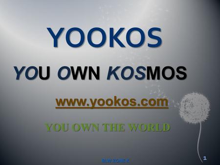 YOOKOS YOU OWN KOSMOS  YOU OWN THE WORLD BLW ZONE K