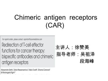 Chimeric antigen receptors (CAR)