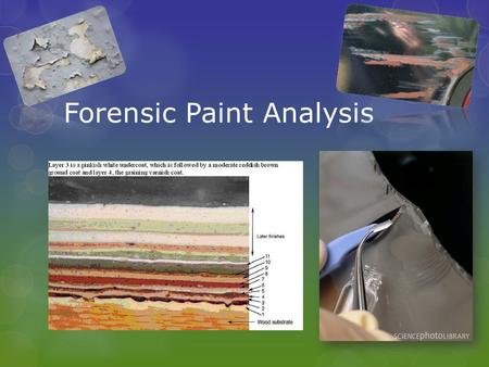 Forensic Paint Analysis