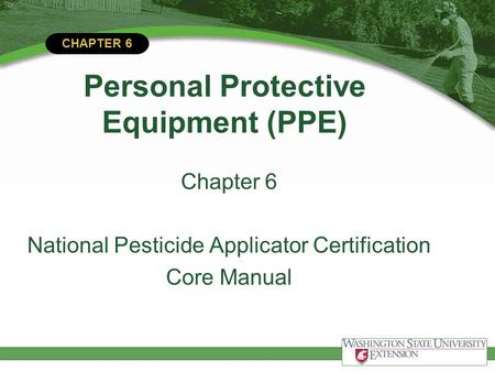 Personal Protective Equipment (PPE)