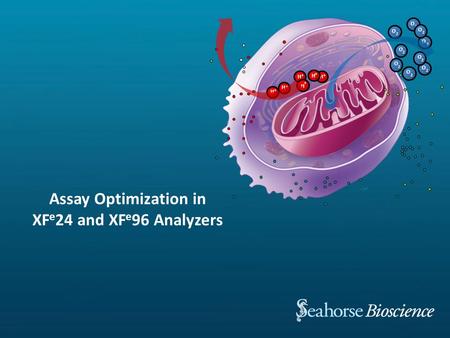 O 2 O 2 O 2 O 2 O 2 O 2 + H + H + H + H + H H + O 2 O 2 O 2 Assay Optimization in XF e 24 and XF e 96 Analyzers.