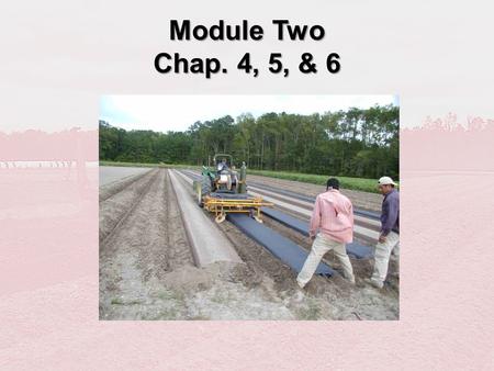 Module Two Chap. 4, 5, & 6.