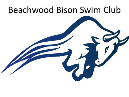 Beachwood Bison Swim Club. Beachwood Swimming Explain seasons by groups Evaluations needed for placement into groups Explain practice schedule – Will.