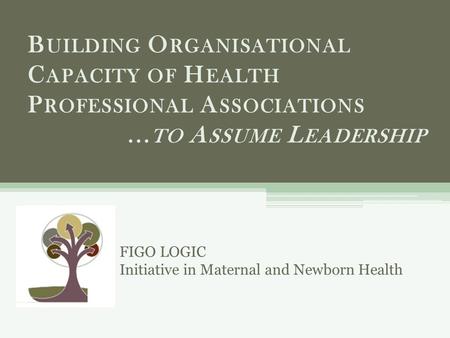 B UILDING O RGANISATIONAL C APACITY OF H EALTH P ROFESSIONAL A SSOCIATIONS... TO A SSUME L EADERSHIP FIGO LOGIC Initiative in Maternal and Newborn Health.