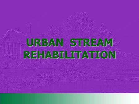 URBAN STREAM REHABILITATION