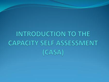 the ability of individuals, institutions and societies to perform functions, solve problems, and set and achieve objectives in a sustainable manner. (The.