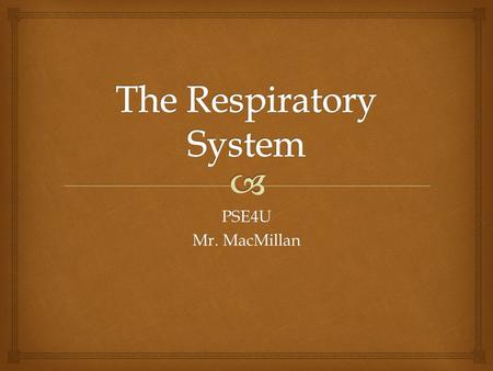 The Respiratory System