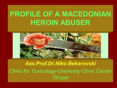 PROFILE OF A MACEDONIAN HEROIN ABUSER