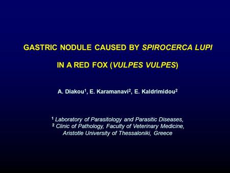 GASTRIC NODULE CAUSED BY SPIROCERCA LUPI IN A RED FOX (VULPES VULPES) A. Diakou 1, E. Karamanavi 2, E. Kaldrimidou 2 1 Laboratory of Parasitology and Parasitic.